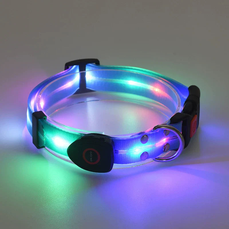 Dirfact | Glowing Pet Collar with LED Night Light for Dogs