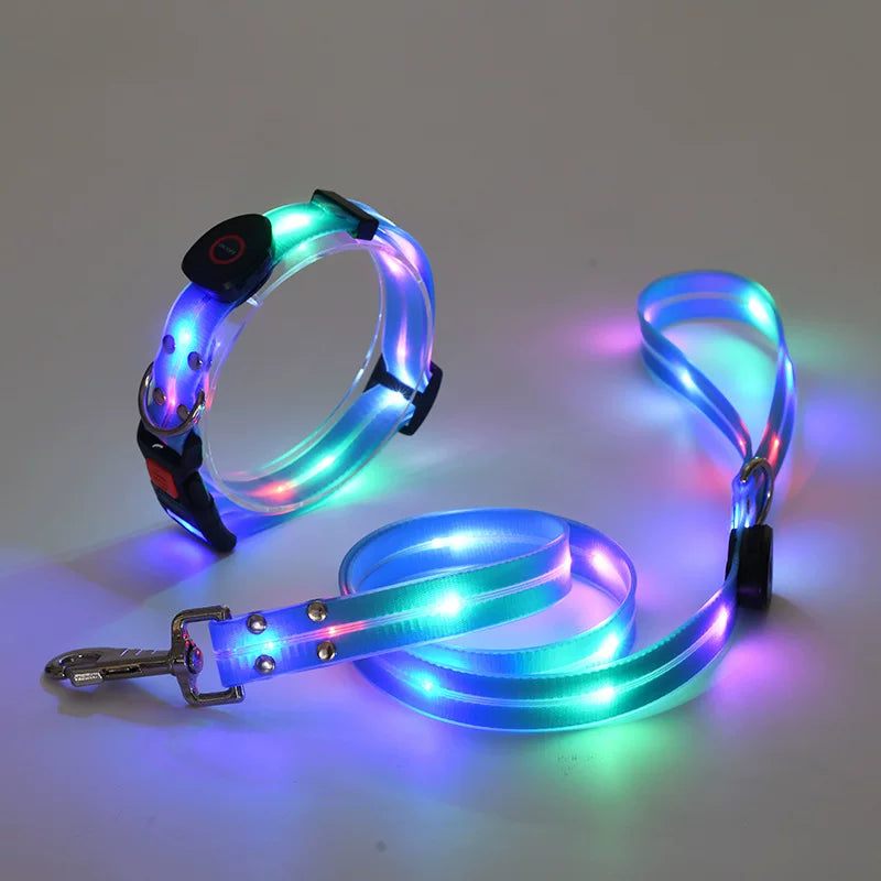 Dirfact | Glowing Pet Collar with LED Night Light for Dogs