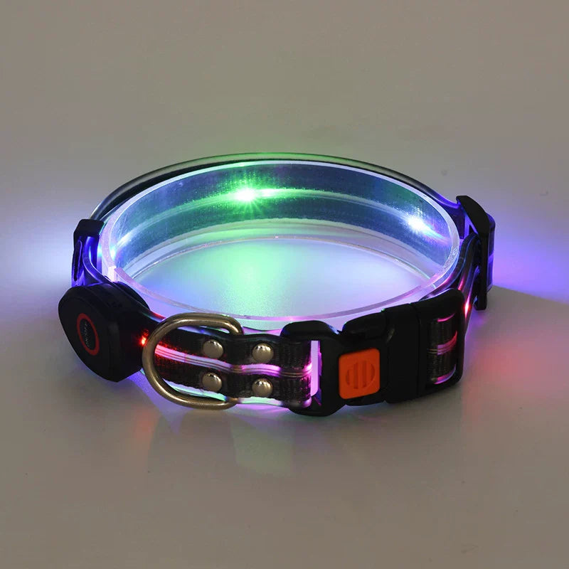 Dirfact | Glowing Pet Collar with LED Night Light for Dogs