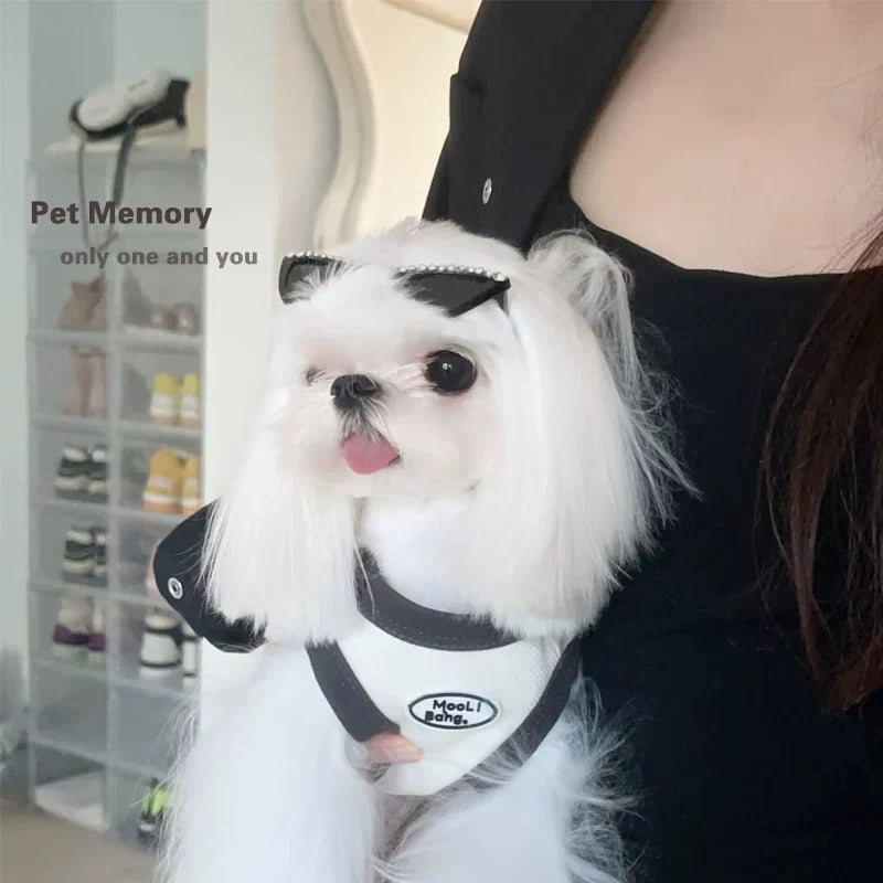 Dirfact | Windproof Pet Sunglasses Goggles for Small Dogs Outdoor Use