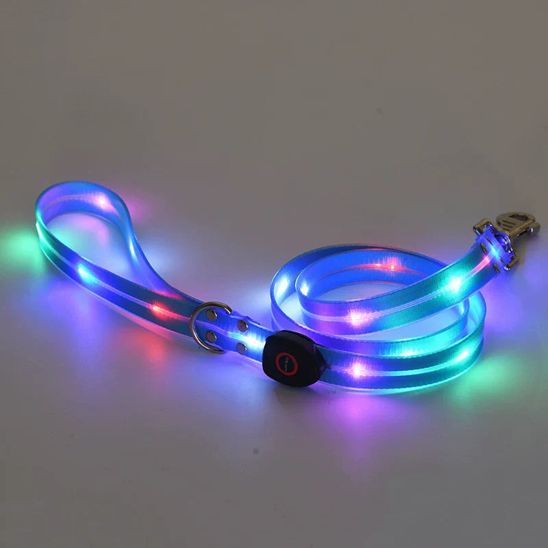 Dirfact | Glowing Pet Collar with LED Night Light for Dogs