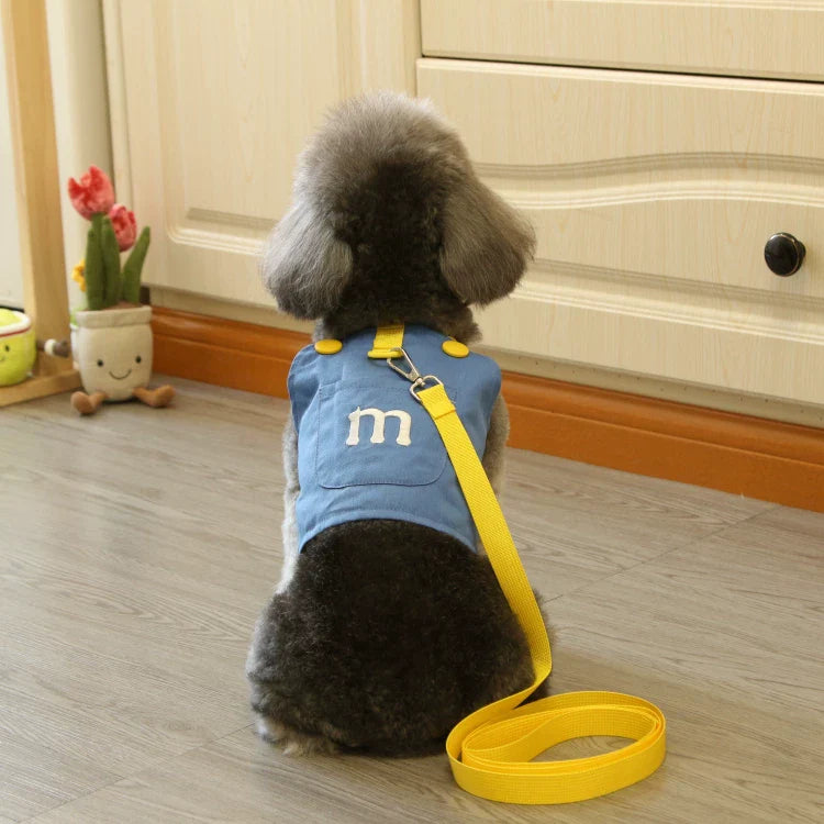 Dirfact | Pet Harness Leash Set for Small Dogs and Cats Daily Walks