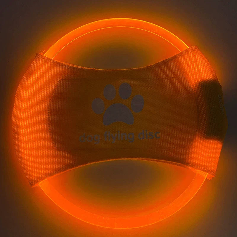 Dirfact | LED Light-Up Dog Frisbee for Night Play and Outdoor Training