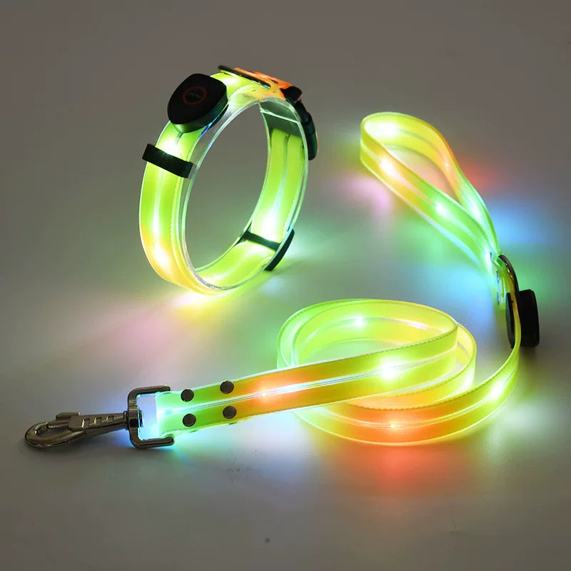 Dirfact | Glowing Pet Collar with LED Night Light for Dogs