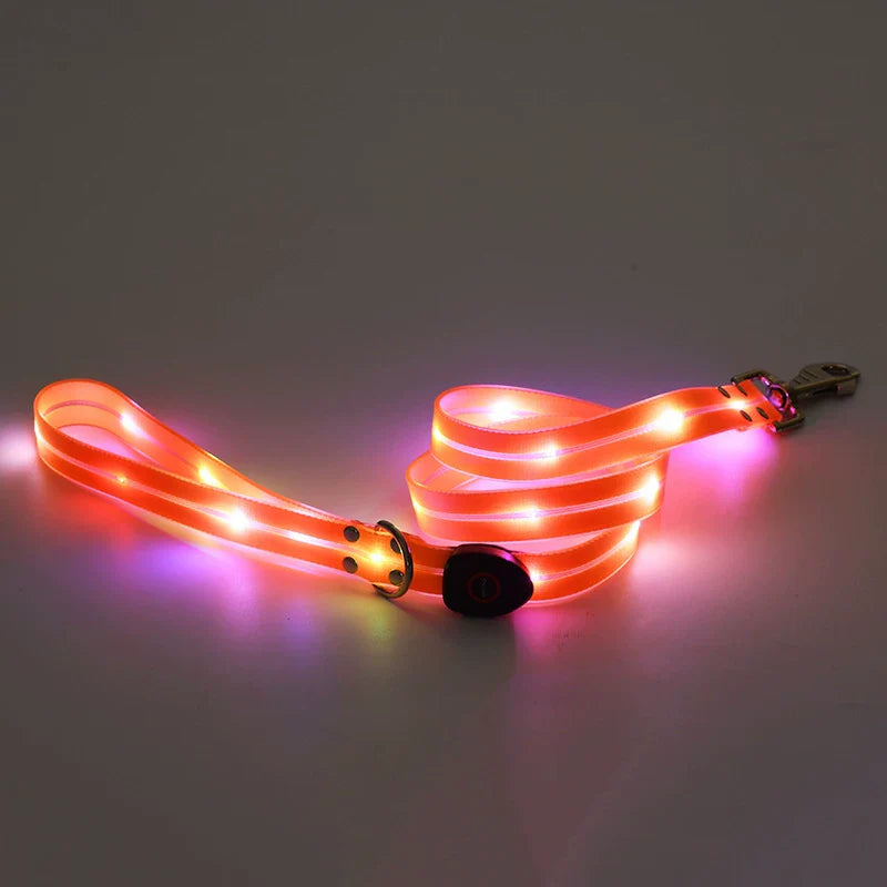 Dirfact | Glowing Pet Collar with LED Night Light for Dogs