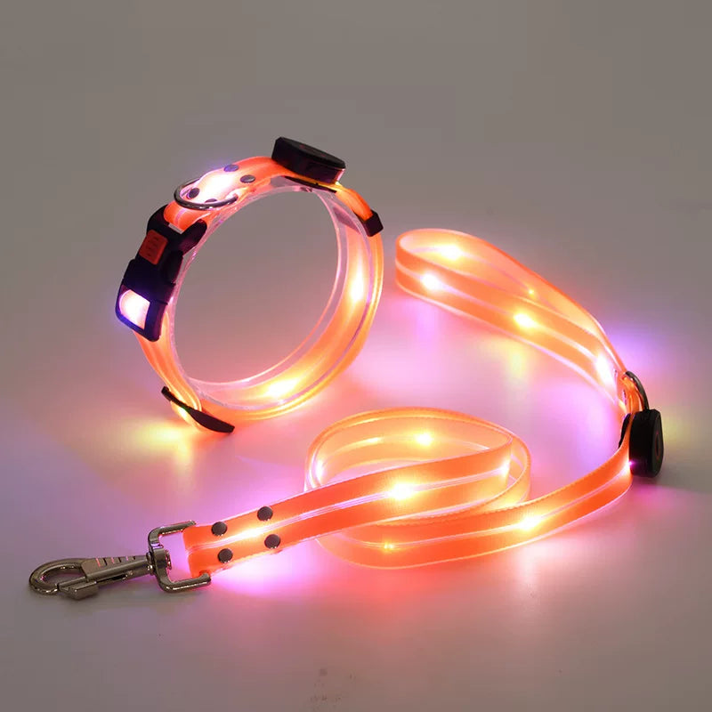 Dirfact | Glowing Pet Collar with LED Night Light for Dogs