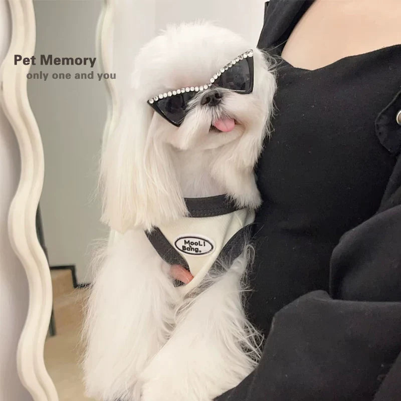 Dirfact | Windproof Pet Sunglasses Goggles for Small Dogs Outdoor Use