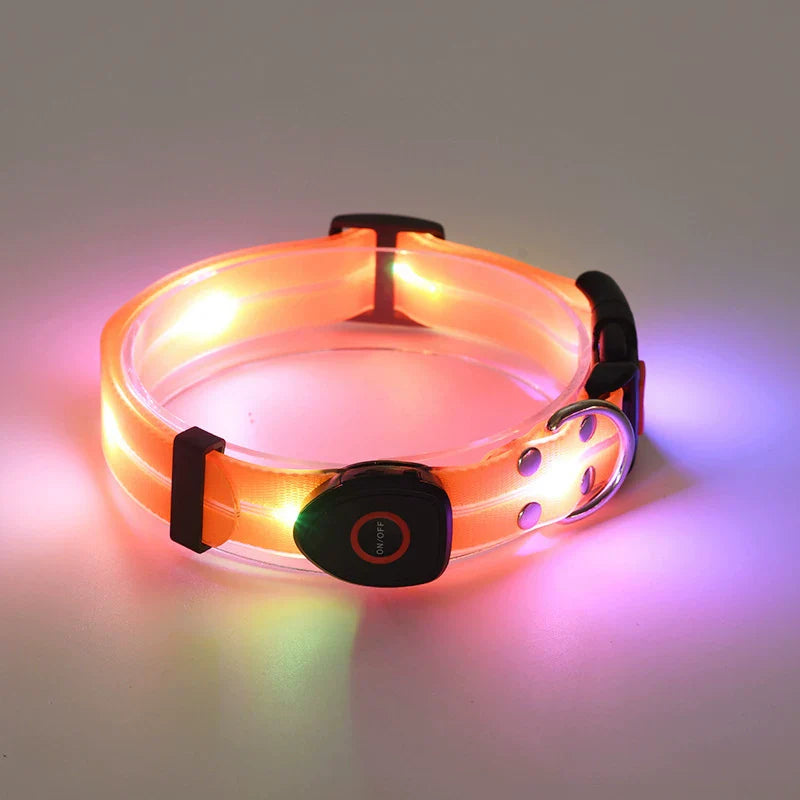 Dirfact | Glowing Pet Collar with LED Night Light for Dogs