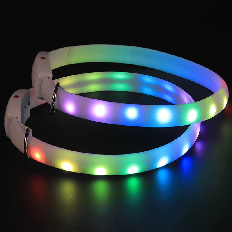 Dirfact | Glowing Pet Collar with LED Night Light for Dogs
