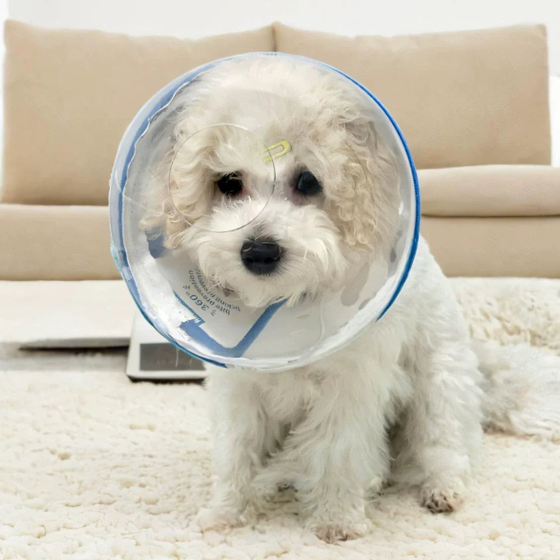 Dirfact | Protective Dog Hood Cone Collar for Anti-Licking and Anti-Biting