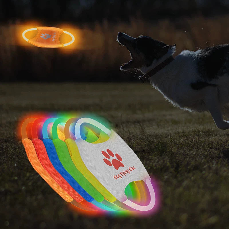 Dirfact | LED Light-Up Dog Frisbee for Night Play and Outdoor Training