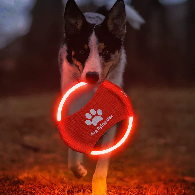 Dirfact | LED Light-Up Dog Frisbee for Night Play and Outdoor Training