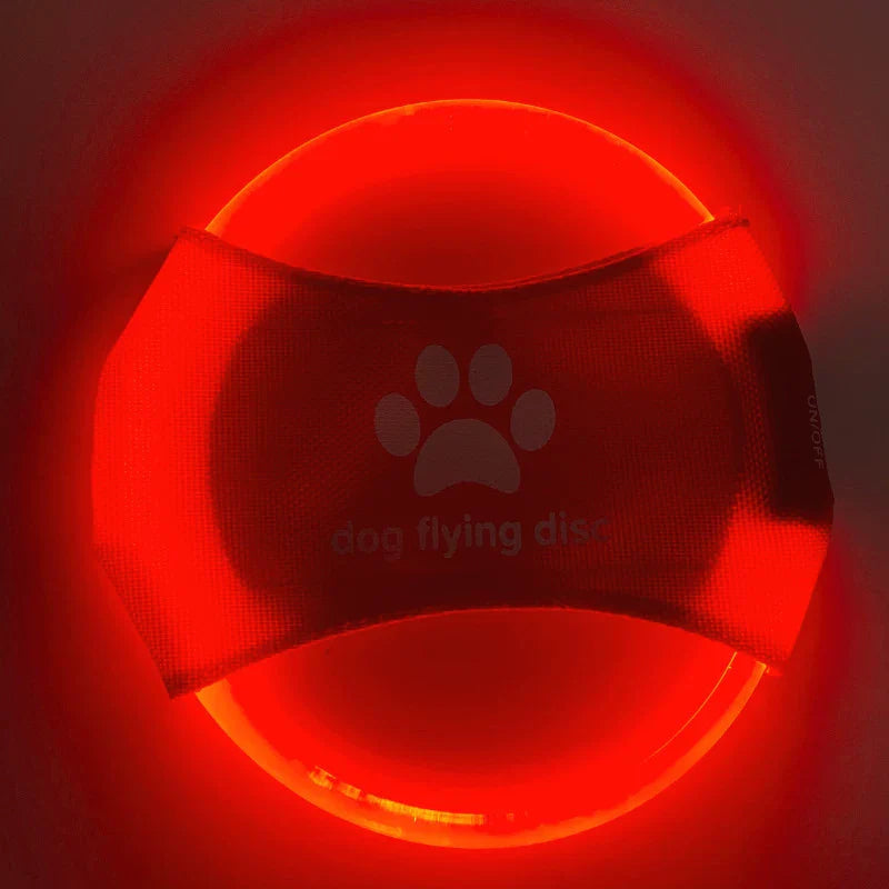 Dirfact | LED Light-Up Dog Frisbee for Night Play and Outdoor Training