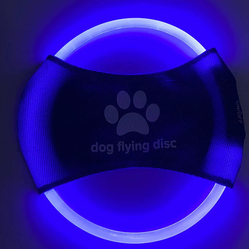 Dirfact | LED Light-Up Dog Frisbee for Night Play and Outdoor Training