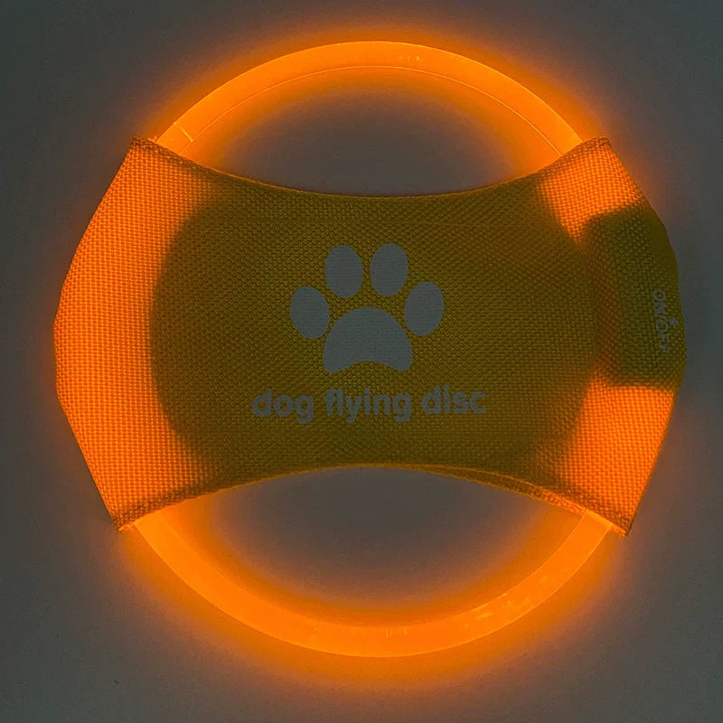 Dirfact | LED Light-Up Dog Frisbee for Night Play and Outdoor Training