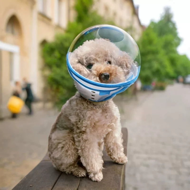 Dirfact | Protective Dog Hood Cone Collar for Anti-Licking and Anti-Biting