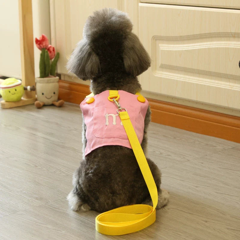 Dirfact | Pet Harness Leash Set for Small Dogs and Cats Daily Walks