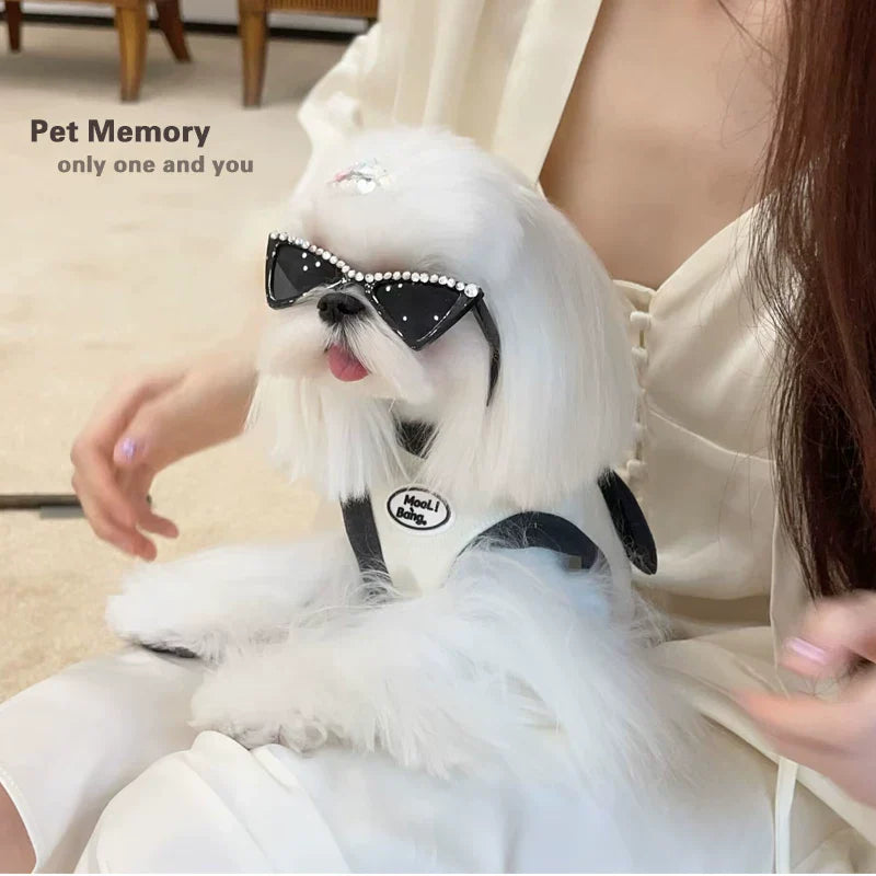 Dirfact | Windproof Pet Sunglasses Goggles for Small Dogs Outdoor Use