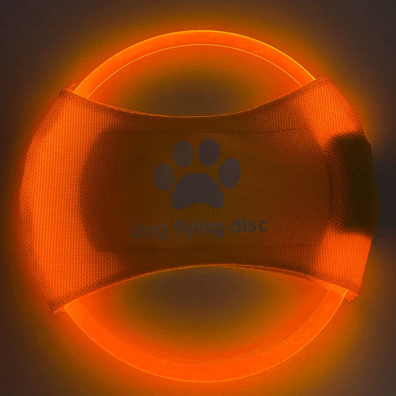 Dirfact | LED Light-Up Dog Frisbee for Night Play and Outdoor Training